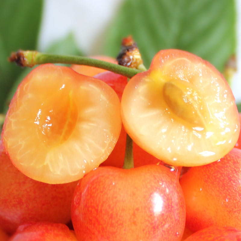 九拜云购-先赚钱再发钱